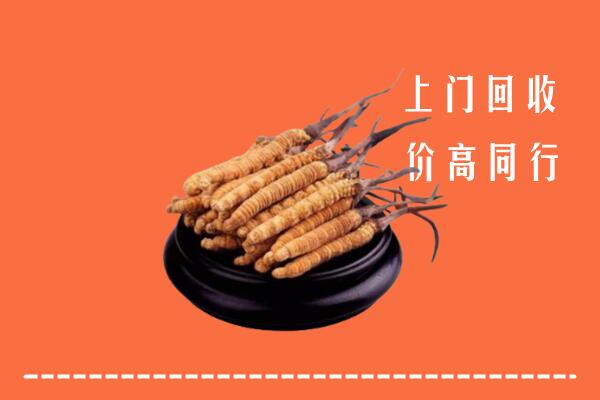 高价求购：赣州于都回收散虫草