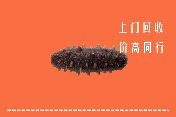高价求购：赣州于都回收海参