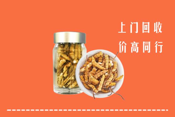 赣州于都回收冬虫夏草
